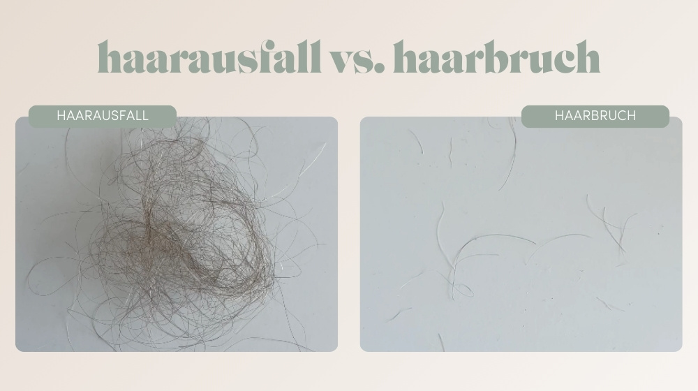 Haarbruch oder Haarausfall